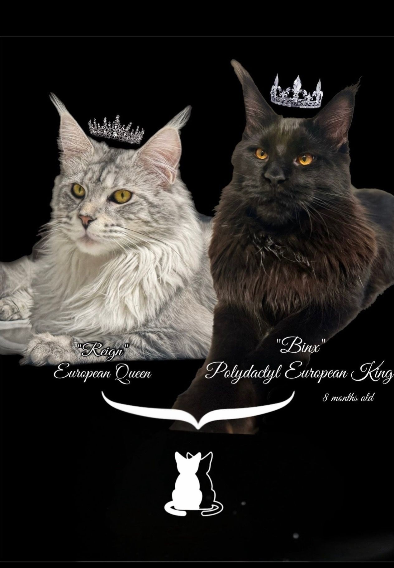 Reign X Binx
